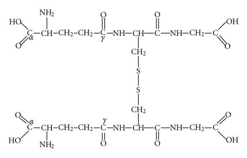 Details are in the caption following the image