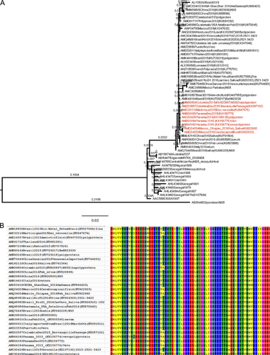 Details are in the caption following the image Details are in the caption following the image
