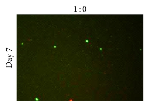 Details are in the caption following the image