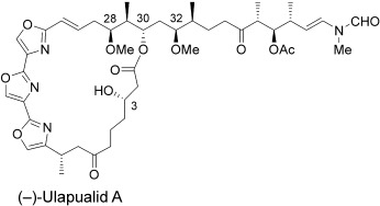 Total Synthesis of (−)-Ulapualide A: The Danger of Overdependence on NMR Spectroscopy in Assignment of Stereochemistry
