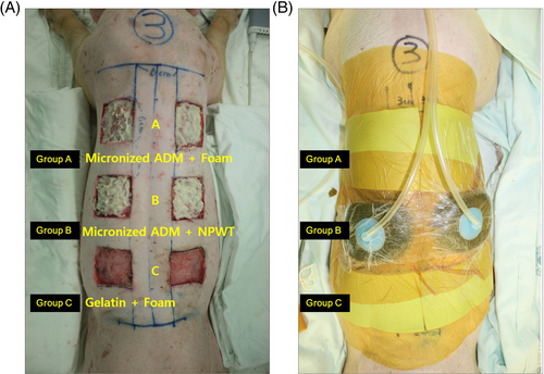 Details are in the caption following the image Details are in the caption following the image