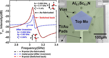 Ferroelectric Aluminum Scandium Nitride Thin Film Bulk Acoustic Resonators with Polarization-Dependent Operating States