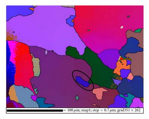 Details are in the caption following the image Details are in the caption following the image