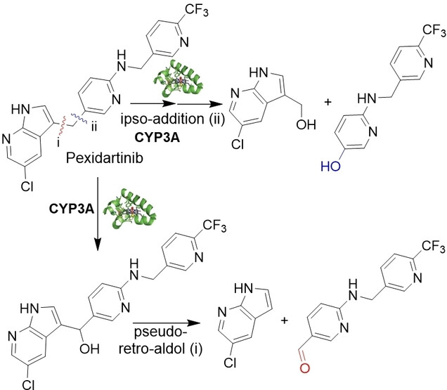 CYP3A Mediates an Unusual C(sp2)−C(sp3) Bond Cleavage via Ipso-Addition of Oxygen in Drug Metabolism