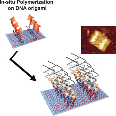 Bottom-Up Fabrication of Nanopatterned Polymers on DNA Origami by In Situ Atom-Transfer Radical Polymerization