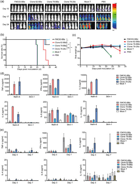 Development and functional characterization of novel fully human anti-CD19 chimeric antigen receptors for T-cell therapy