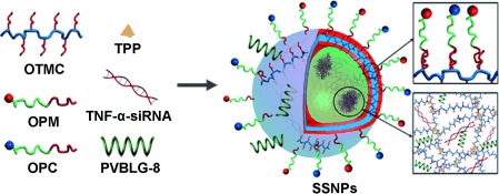 Supramolecular Self-Assembled Nanoparticles Mediate Oral Delivery of Therapeutic TNF-α siRNA against Systemic Inflammation