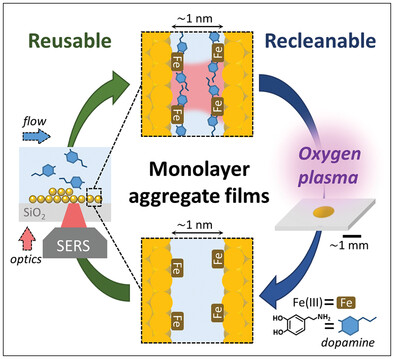 SERS Sensing of Dopamine with Fe(III)-Sensitized Nanogaps in Recleanable AuNP Monolayer Films