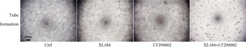 Details are in the caption following the image