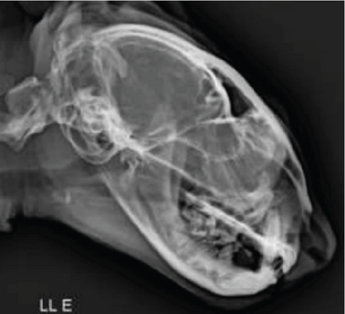 Details are in the caption following the image