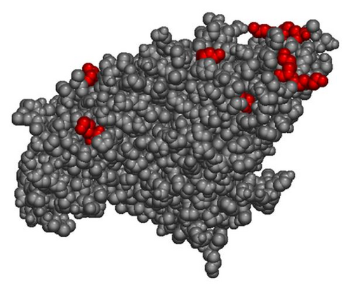Details are in the caption following the image
