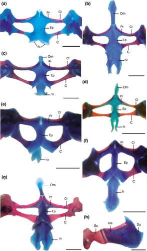 Details are in the caption following the image