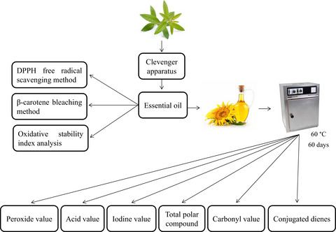Evaluation of antioxidant properties of lemon verbena (Lippia citriodora) essential oil and its capacity in sunflower oil stabilization during storage time