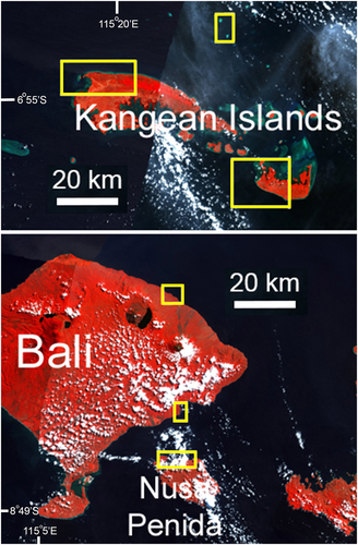Details are in the caption following the image