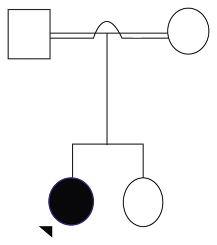 Details are in the caption following the image