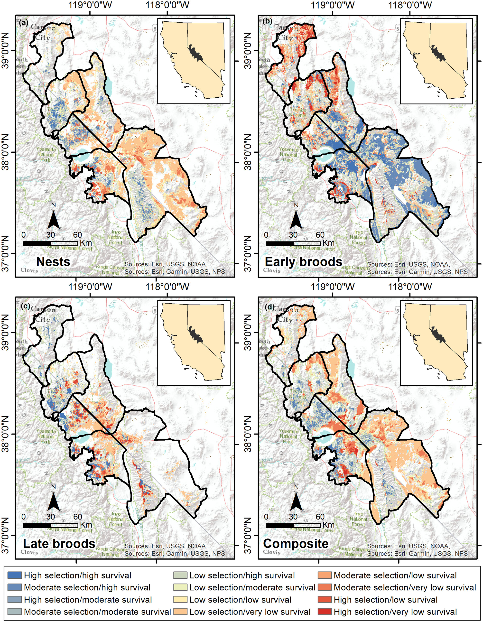 Linking resource selection to population performance spatially to identify species' habitat across broad scales: An example of greater sage-grouse in a distinct population segment