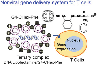 Gene Delivery into T-Cells Using Ternary Complexes of DNA, Lipofectamine, and Carboxy-Terminal Phenylalanine-Modified Dendrimers