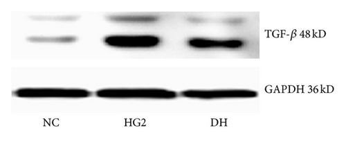 Details are in the caption following the image