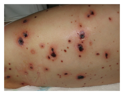 Details are in the caption following the image Details are in the caption following the image