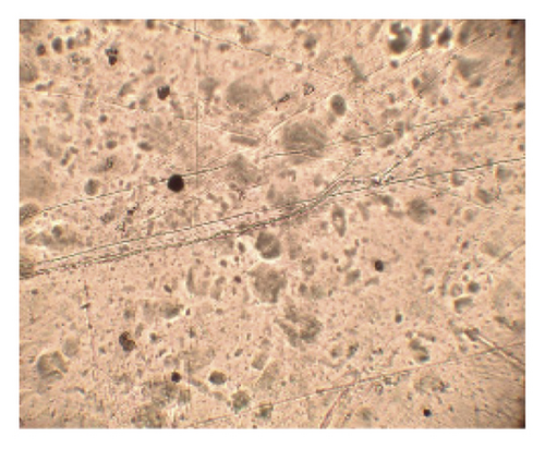 Details are in the caption following the image