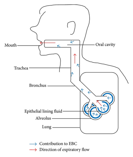 Details are in the caption following the image