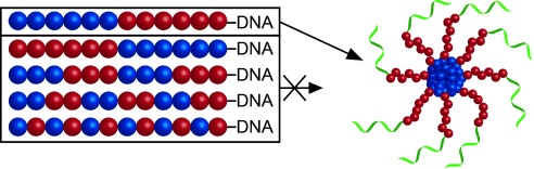 An Efficient and Modular Route to Sequence-Defined Polymers Appended to DNA