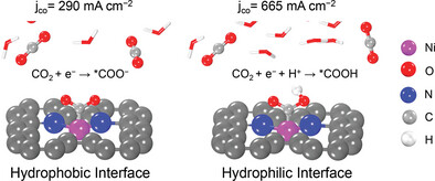 The Role of Interfacial Water in CO2 Electrolysis over Ni-N-C Catalyst in a Membrane Electrode Assembly Electrolyzer