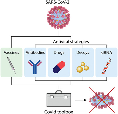 Keeping up with the COVID's—Could siRNA-based antivirals be a part of the answer?