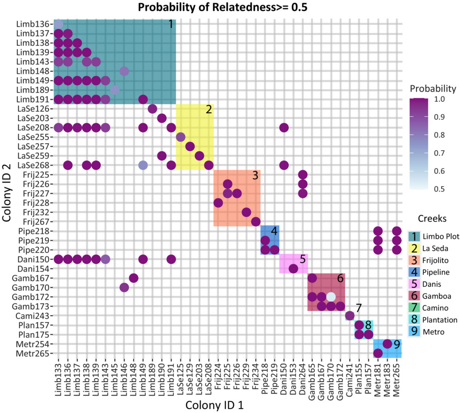 Limited genetic differentiation of Mycetomoellerius mikromelanos in Parque National Soberanía, Panama: Implications for queen dispersal