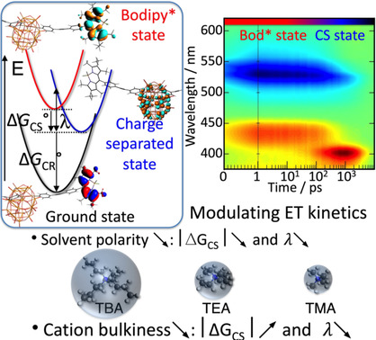 Tuning Photoinduced Electron Transfer in POM-Bodipy Hybrids by Controlling the Environment: Experiment and Theory