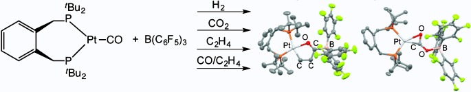 Cooperative Lewis Pairs Based on Late Transition Metals: Activation of Small Molecules by Platinum(0) and B(C6F5)3