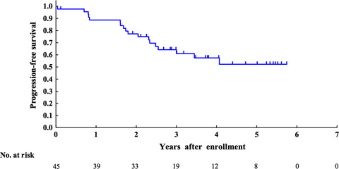 R-High-CHOP/CHASER/LEED with autologous stem cell transplantation in newly diagnosed mantle cell lymphoma: JCOG0406 STUDY