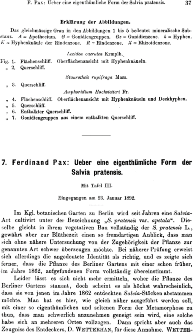 First page image