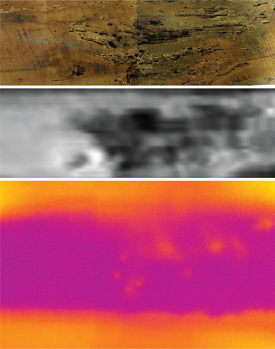 Details are in the caption following the image Details are in the caption following the image