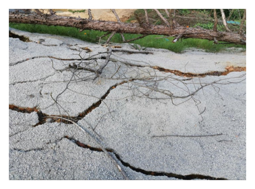 Details are in the caption following the image Details are in the caption following the image