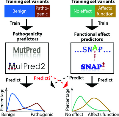 Missense variant pathogenicity predictors generalize well across a range of function-specific prediction challenges
