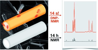 Towards Structure Determination of Self-Assembled Peptides Using Dynamic Nuclear Polarization Enhanced Solid-State NMR Spectroscopy