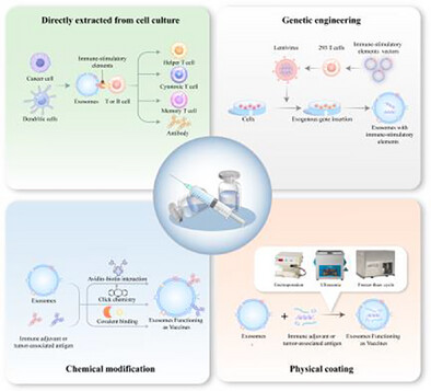 Exosome-Based Vaccines: Pioneering New Frontiers in Combating Infectious Diseases and Cancer