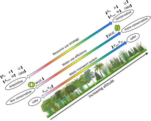 Details are in the caption following the image Details are in the caption following the image