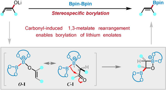 Stereoselective Synthesis of Trisubstituted Vinylboronates from Ketone Enolates Triggered by 1,3-Metalate Rearrangement of Lithium Enolates