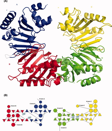 Details are in the caption following the image