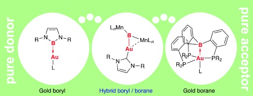 A Trimetallic Gold Boride Complex with a Fluxional Gold–Boron Bond
