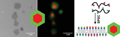 Nanoscale Control of the Surface Functionality of Polymeric 2D Materials