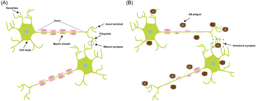 Details are in the caption following the image Details are in the caption following the image
