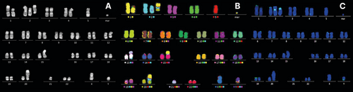 Details are in the caption following the image Details are in the caption following the image