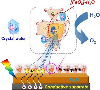 Unveiling the Hydration Structure of Ferrihydrite for Hole Storage in Photoelectrochemical Water Oxidation
