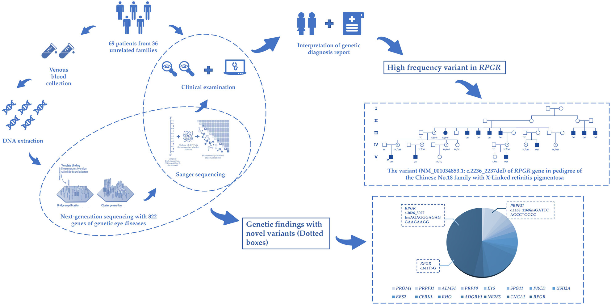 Unveiling the Genetic and Phenotypic Landscape of a Chinese Cohort With Retinitis Pigmentosa