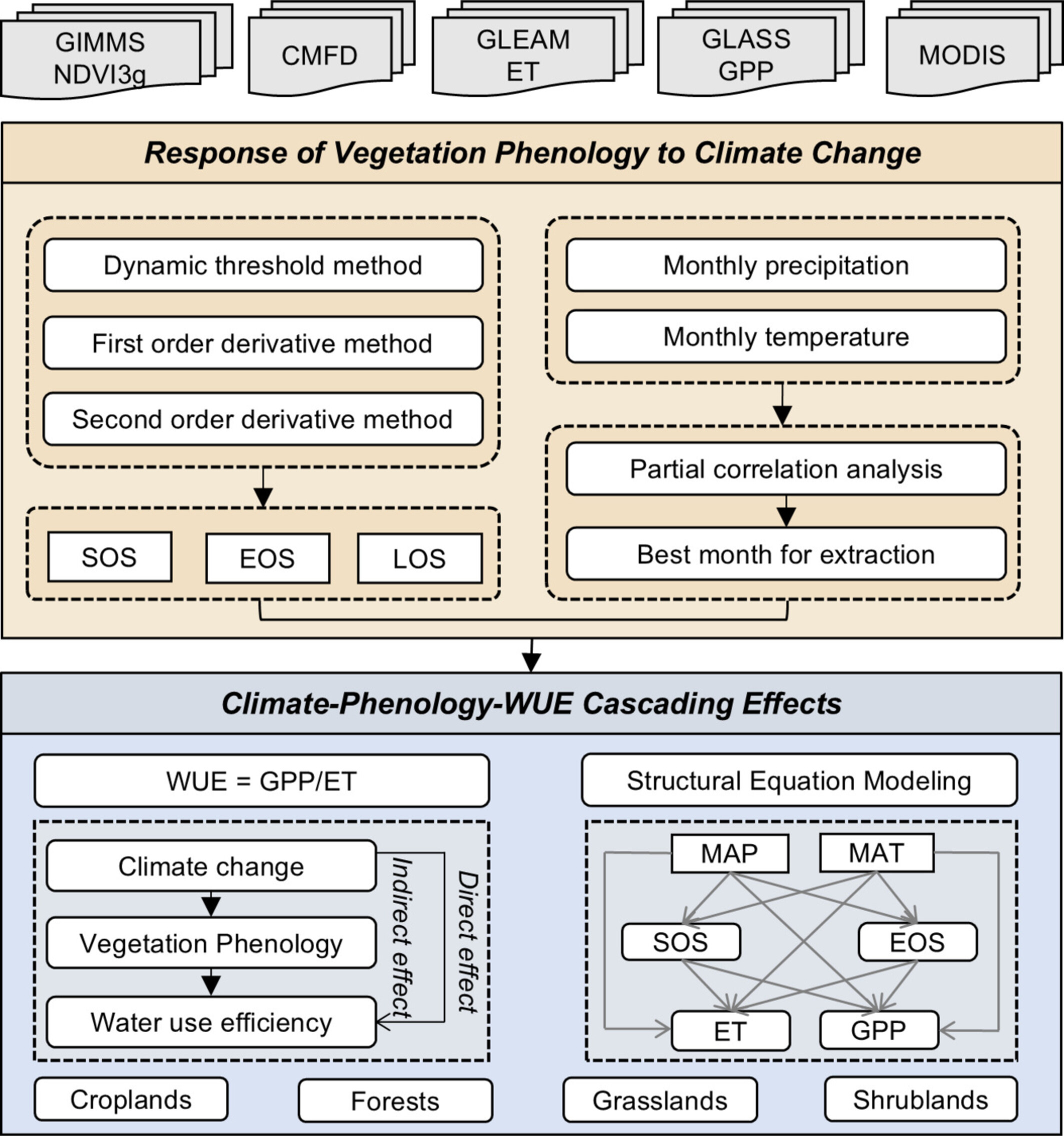 Changes in Vegetation Phenology and Water Use Efficiency Driven by Warming and Wetting in Northwest China