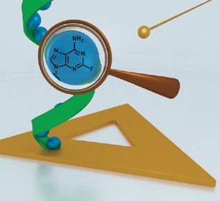 Sensitizing DNA Towards Low-Energy Electrons with 2-Fluoroadenine