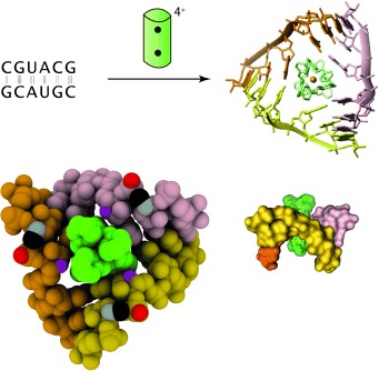 Binding of a Designed Anti-Cancer Drug to the Central Cavity of an RNA Three-Way Junction